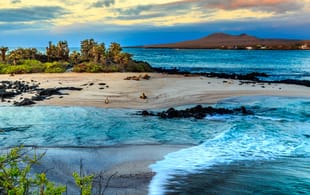 The Galapagos Islands