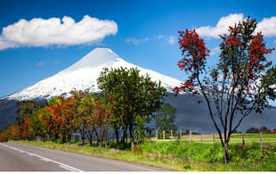 vines-lakes-volcan-escapes-main-itinerary-private-tours-chile