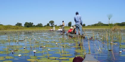 Botswana-Lodge-Explorer-Itinerary-Main-Lodge-Safaris-Africa