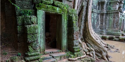 Left hand menu image - Ta Prohm doorway