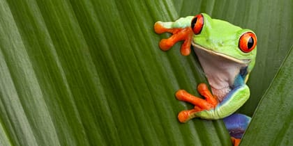 Panama Best Places to Visit menu image