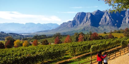 Stellenbosch-And-Garden-Route-Itinerary-2-Lodge-And-Hotel-Safaris-Africa