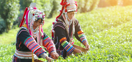 Akha Tribesomwen in Thailand