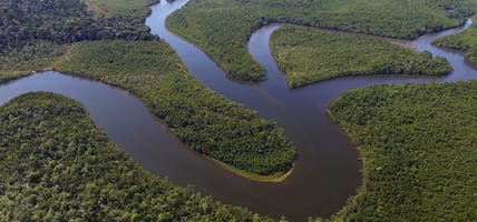 Areila View of the Amazon rainforest in Brazil - menu image