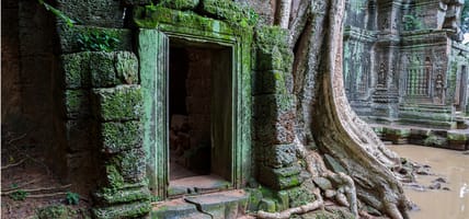 Left hand menu image - Ta Prohm doorway