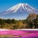 Close up of Mount Fuji with phlox moss - Japan Tours - On The Go Tours