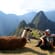 Man with llama in front of Machu Picchu - Peru Tours - South America Tours - On The Go Tours