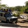 Serengeti National Park game drive - Tanzania - Africa - On The Go Tours