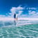 Shell Beach Conservation Park, south east of Denham, Shark Bay