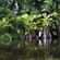 Tortuguero national park Costa Rica dreamstime_xxl_81438725