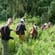 Uganda & Gorilla Trek Express main image png