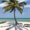 Paln tree and beach on Phu Quoc island in Vietnam