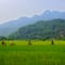 Cycling through the countryside in Mai Chau - Vietnam