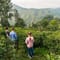 Family in Nuwara Eliya | Sri Lanka