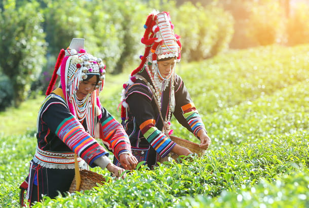 Akha Tribesomwen in Thailand