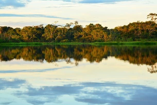 Amazing sunset in the Yasuni National Park Ecuador
