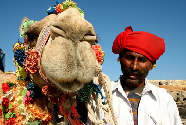 Camel Festival India