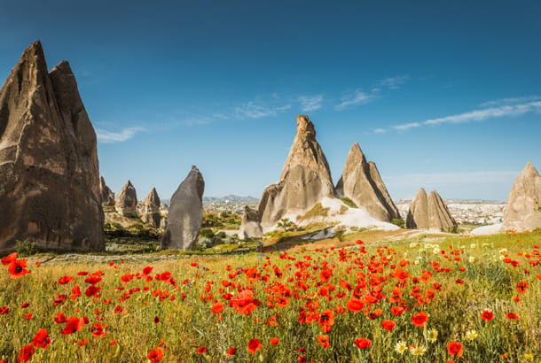 Cappadocia and poppies - Best time to visit Turkey - On The Go Tours