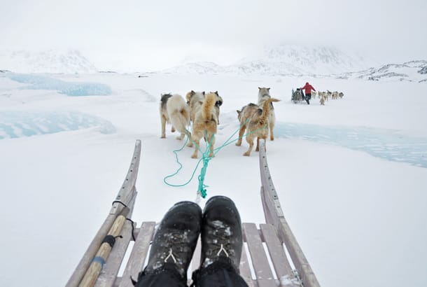 Dog sledding in Greenland - Top Travel Tips - On The Go Tours