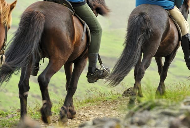Iceland-Festivals-and-Events-horseracing-festival