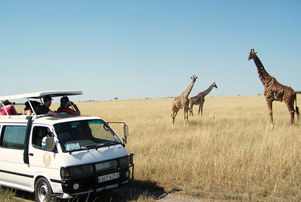 Masai Mara game drive - Kenya - Africa Overland Safaris