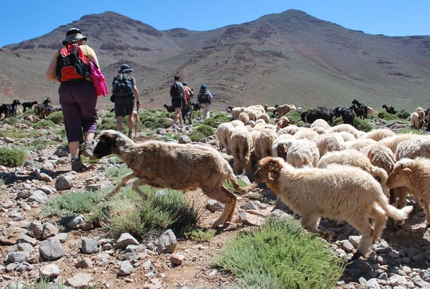Migration-of-the-Berbers-Itinerary-1-Trekking-Adventures-Morocco