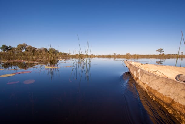Mokoro canoe on Okavango Delta - Southern Africa - On The Go Tours