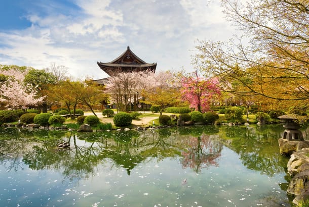 Palace-Park-In-Spring-Kyoto-Japan-Tours-On-The-Go-Tours