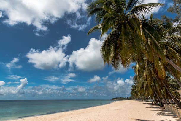 Palm trees and sands of Pemba Beach in Mozambique