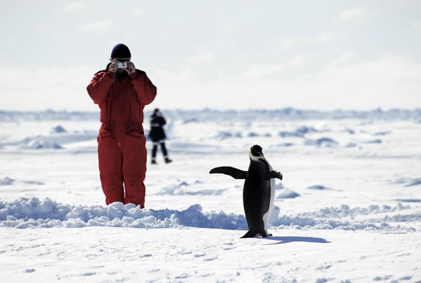 Photography in Antartica - Top Travel Tips - On The Go Tours