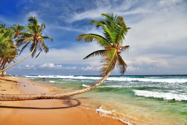 Sri Lanka beach - On The Go Tours