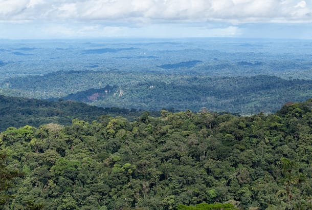 The Amazon basin of Ecuador seen from the top of a hill