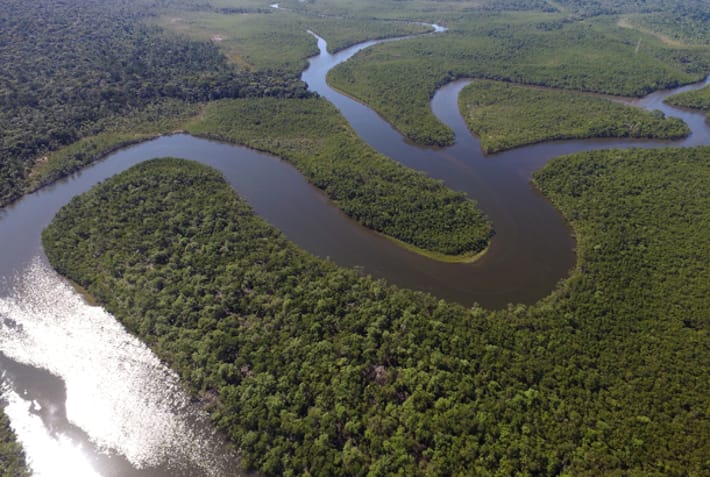 Amazon jungle - Best places to visit in Brazil - On The Go Tours