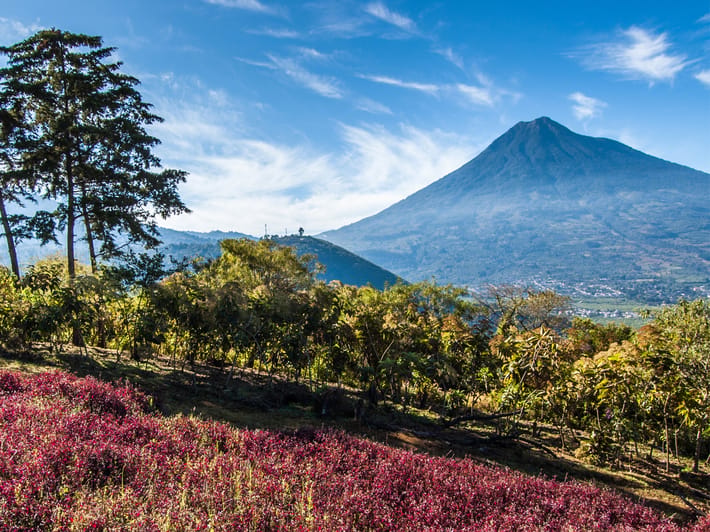 Antigua Top Spot Guatemala