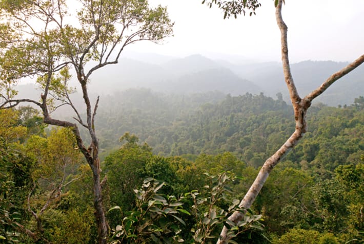 Bokeo Nature Reserve in Laos - Southeast Asia - On The Go Tours