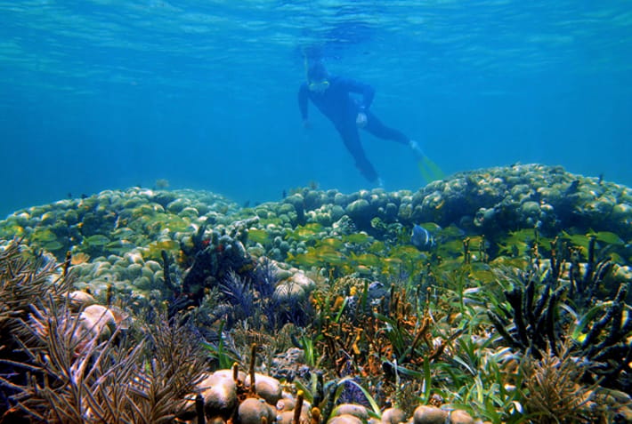 Cano Island - Costa Rica's Best Beaches - On The Go Tours