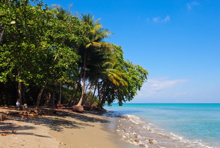Corcovado National Park - Costa Rica's Best Beaches - On The Go Tours