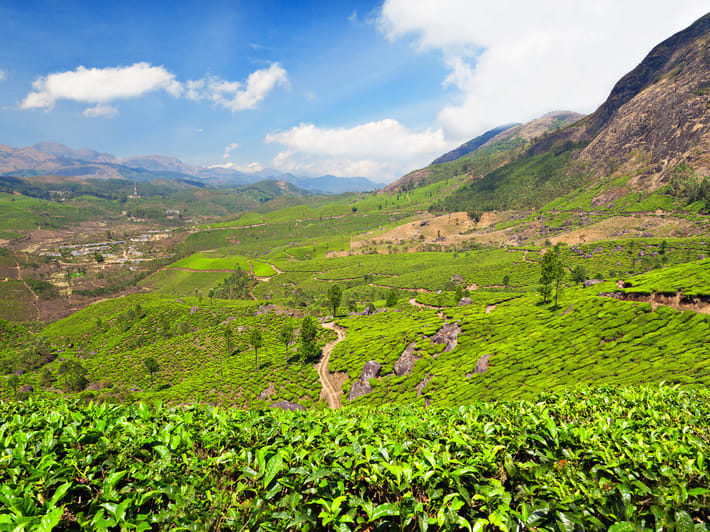Darjeeling-Tea-Centre-Main