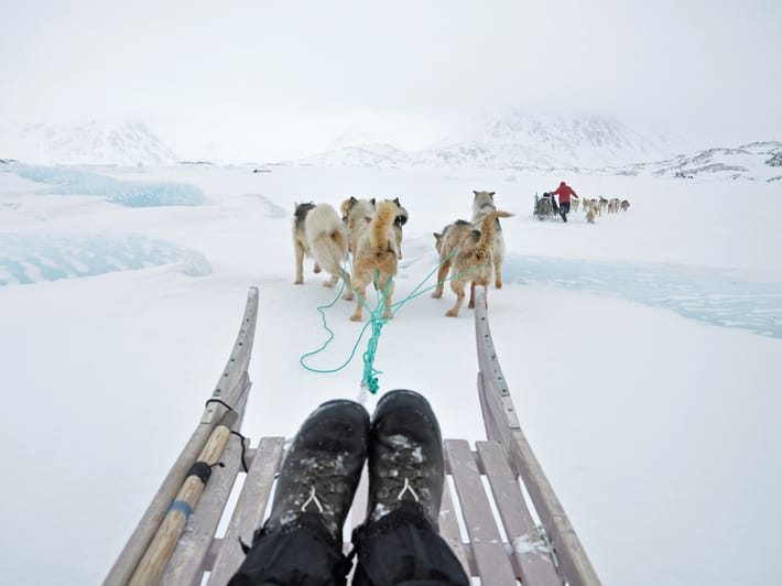 Dog sledding in Greenland - Top Travel Tips - On The Go Tours