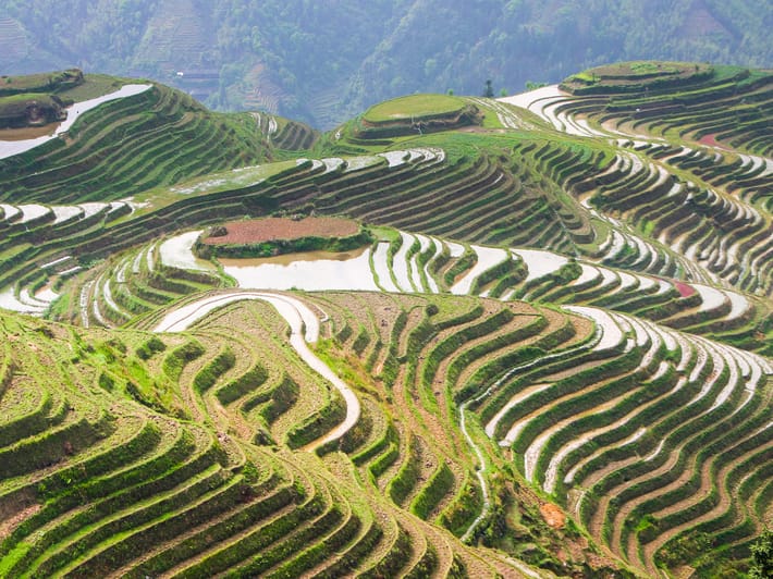 Longji Rice Terraces