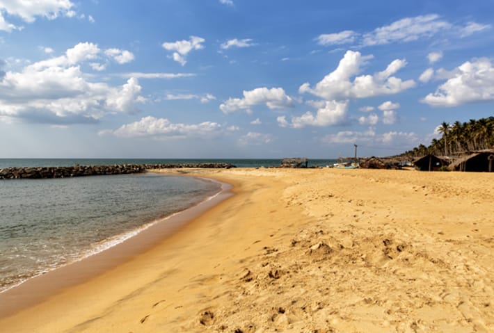 Negombo Highlight