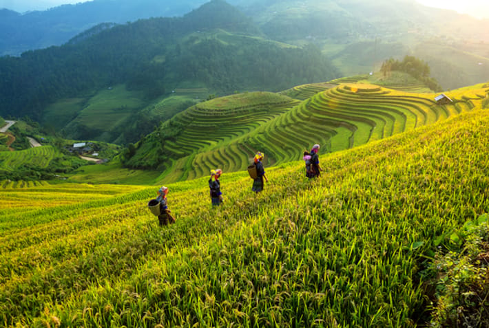Sapa rice terraces and tribes - Best places to visit in Southeast Asia - On The Go Tours