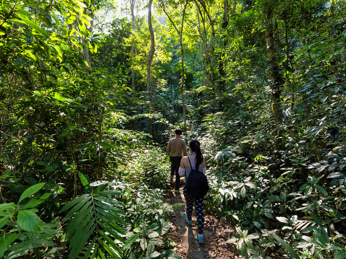 Trekking on Cat Ba Island - On the Go Tours