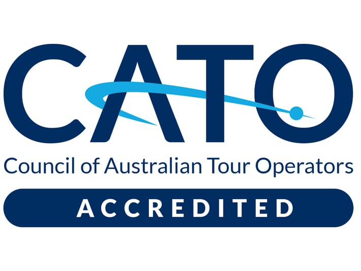 cato 2023