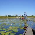 Mokoro boat gliding along the Okavango River