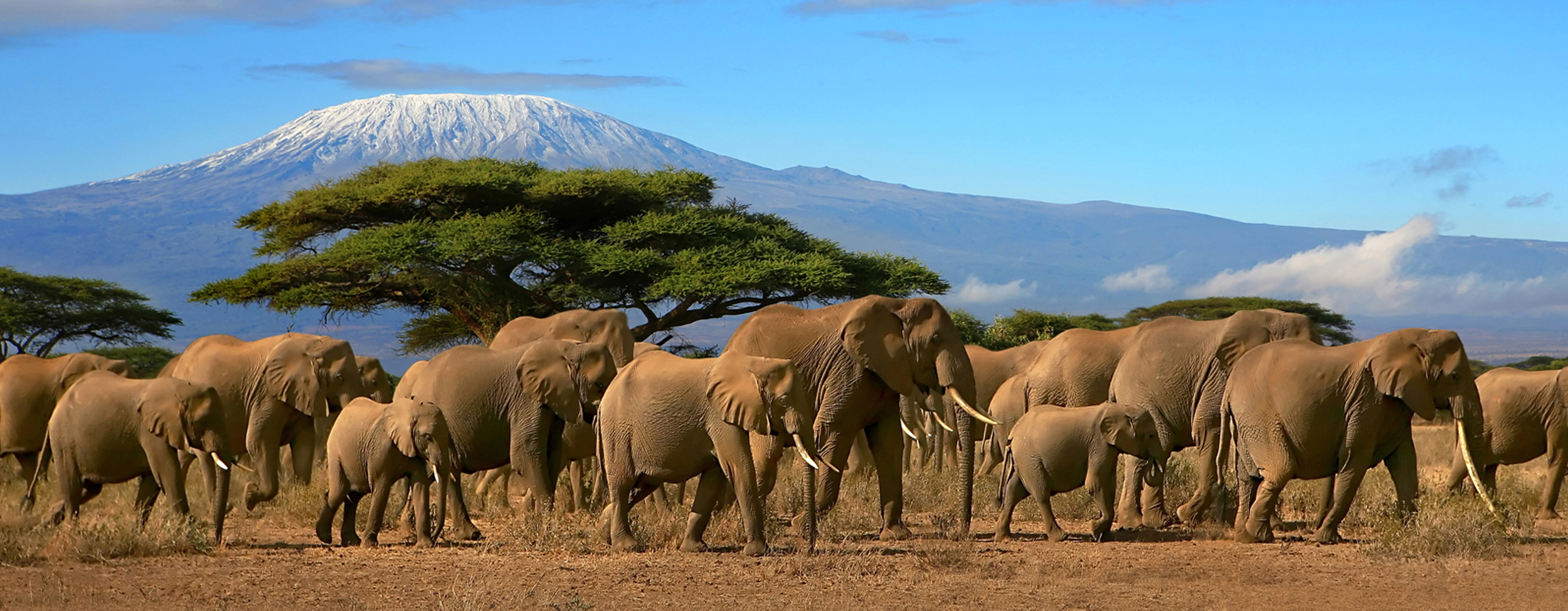 Day 6 - Mount Kilimanjaro