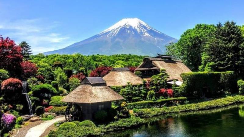 1-Day Mt Fuji Bus Tour with 4-D Mt.Fuji movie Ride and Ninja Experience