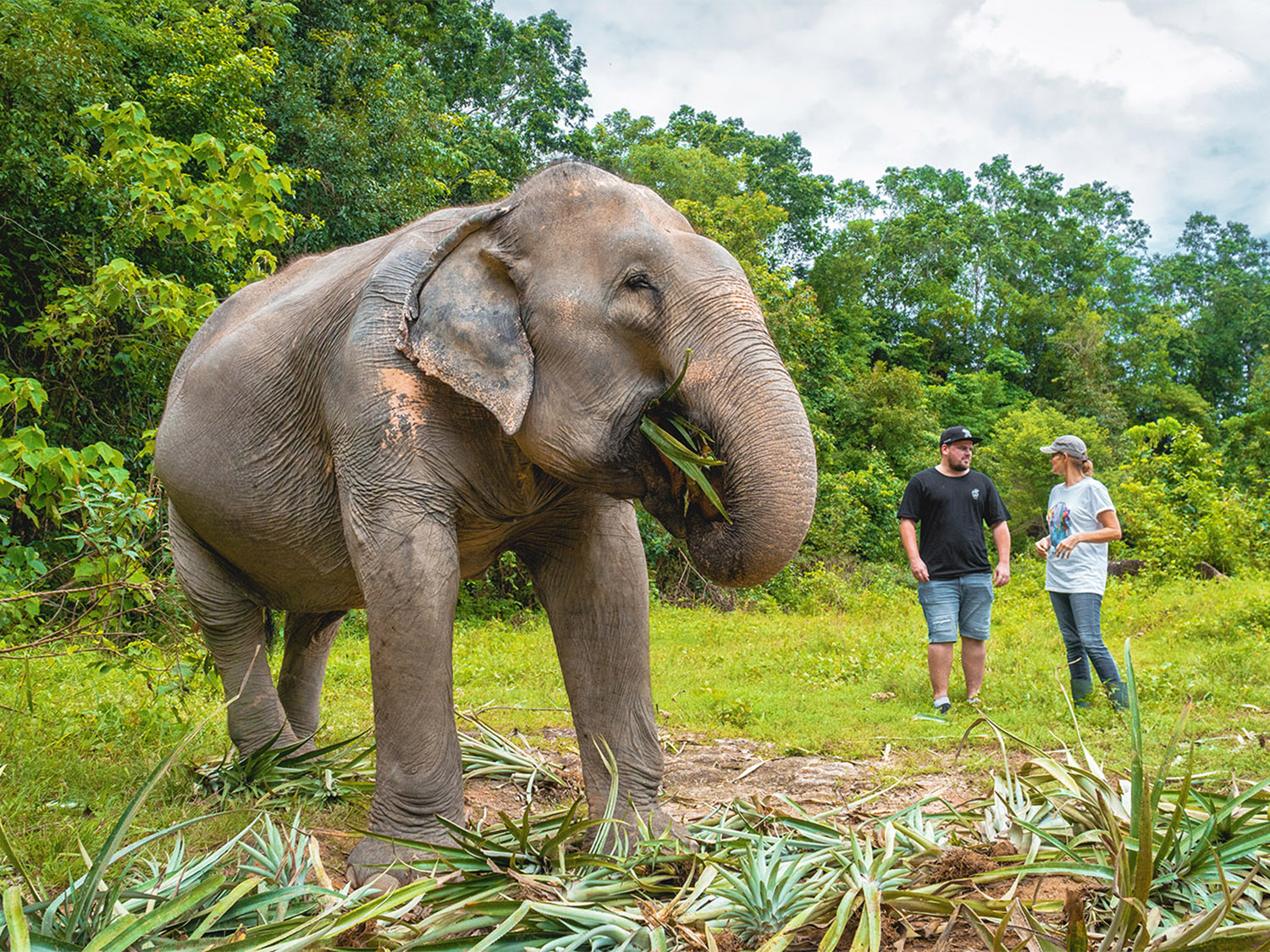 Day 12 - Phuket
