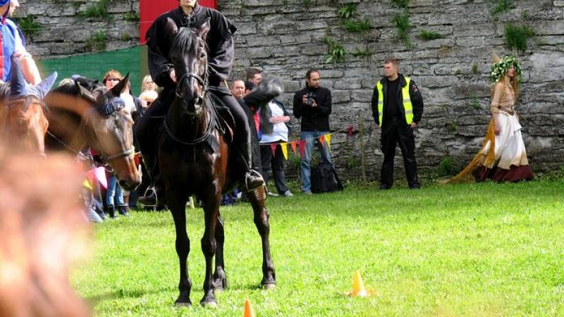 Tallinn Highlights 4 hour Shore Excursion with return transfer to the port