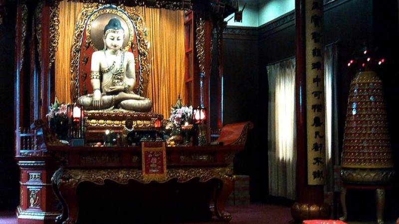 Shanghai Half Day Morning or Afternoon Sightseeing Tour